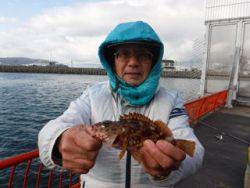神戸市立平磯海づり公園　胴突でガシラ