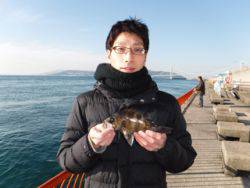 神戸市立平磯海づり公園　メバル 	23㎝