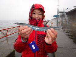 神戸市立平磯海づり公園　ウキ釣りでサヨリ