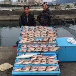 マリーナシティ海洋釣り堀　マダイ48尾の爆釣