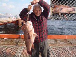 神戸市立須磨海づり公園　コブダイ　記録賞！ 	73.5cm