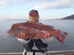 神戸市立須磨海づり公園、本日もコブダイ