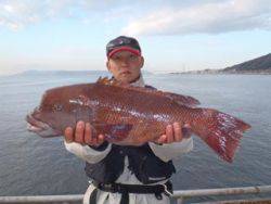 神戸市立須磨海づり公園、本日もコブダイ