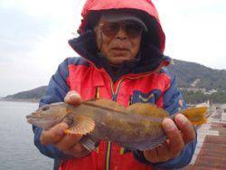 神戸市立須磨海づり公園　ウキ流しでアイナメ