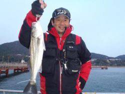 シラサの流しつり〜ハネ43cm〜