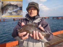 神戸市立須磨海づり公園　メバル　記録賞☆　…