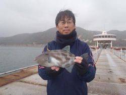 神戸市立須磨海づり公園　良型ウマヅラ