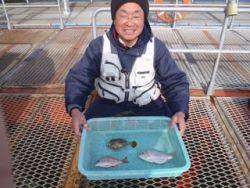 神戸市立須磨海づり公園　ウミタナゴほか