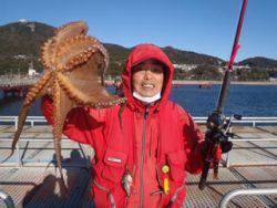 神戸市立須磨海づり公園　マダコ