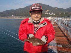 神戸市立須磨海づり公園　メイタガレイ