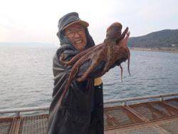 神戸市立須磨海づり公園　マダコ