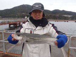 神戸市立須磨海づり公園 シラサでハネをキャ…