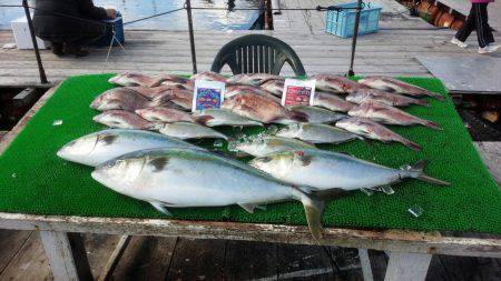 海上釣り堀紀州