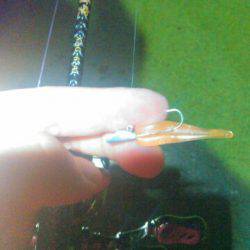 春一番、元気ですかぁ！の巻