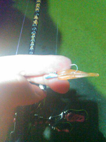 春一番、元気ですかぁ！の巻