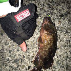 久しぶりにワームでガシラ!!