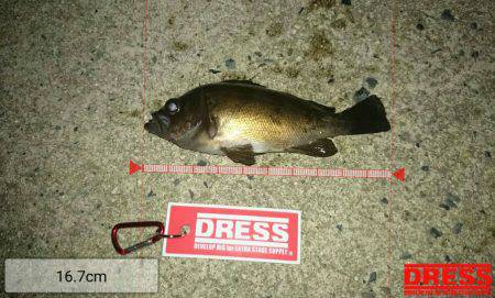 結局今年も・・・