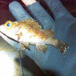 キーホルダやんの巻