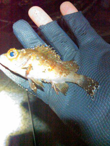 キーホルダやんの巻