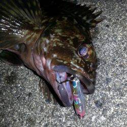 春が近付いてきてますね！