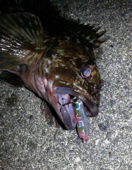 春が近付いてきてますね！