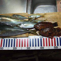 粘ってよかった！