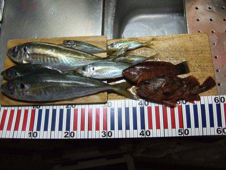 粘ってよかった！