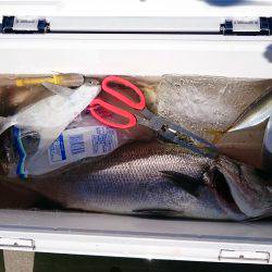 ファミリーフィッシング＋α