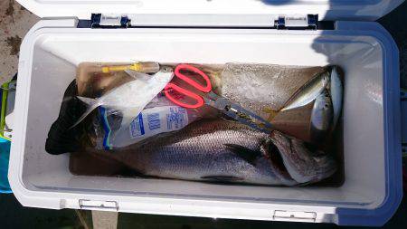 ファミリーフィッシング＋α