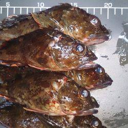 テトラで風避け