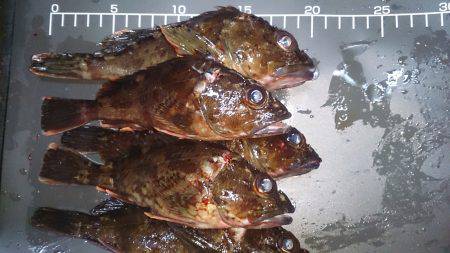 テトラで風避け