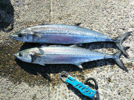 お守りのおかげかな？