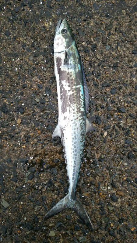 やっぱ寒い(>_<)