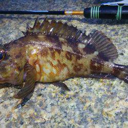 あまりの寒さに短時間