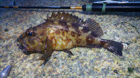 あまりの寒さに短時間