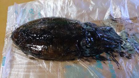 粘り粘って何とか1杯GET