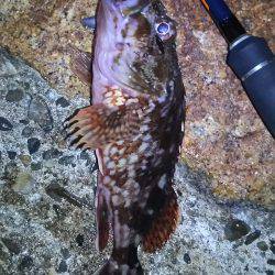 仕事帰りに軽く釣行