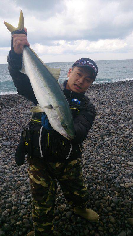 メジロ・カツオ祭り