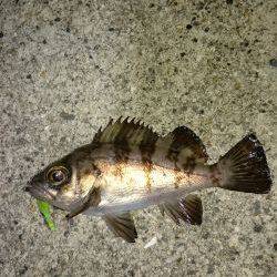 皆さんの合言葉？