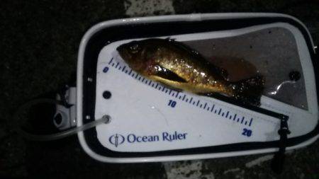 やっとｷｰﾌﾟｻｲｽﾞ