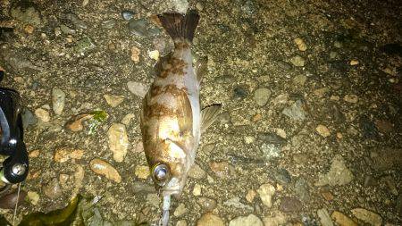 またしても強風。