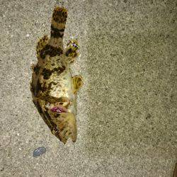 暖かいですが。