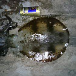 少し暖かくなったので水温もバッチシ