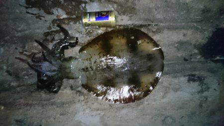 少し暖かくなったので水温もバッチシ