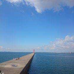 久しぶりのタコ