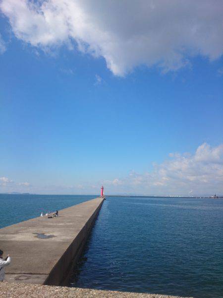 久しぶりのタコ