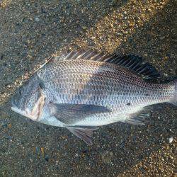 大雨の次の日は？