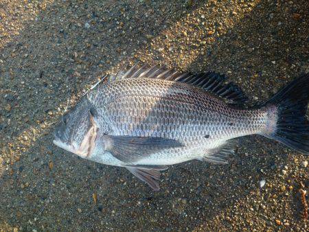 大雨の次の日は？