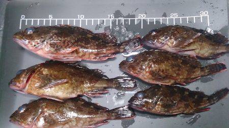 どんなに寒くても