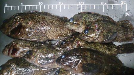 どこまで続くか